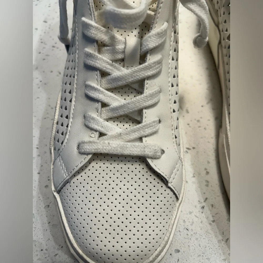 Dolce Vita Women's Zina Perf Sneaker